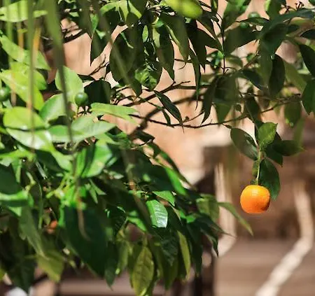 Degerli 빌라